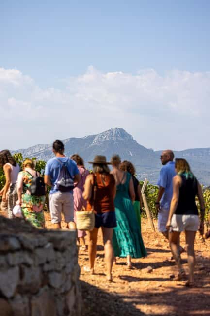 Wine tasting tour - Le Pradet - Key Points