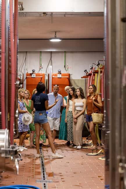 Wine tasting tour - Le Pradet - An Honest Look at the Experience