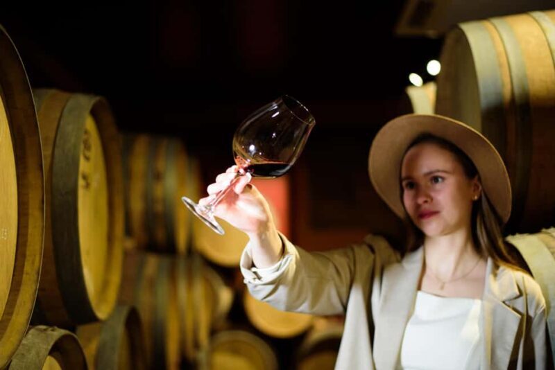 Wine Tasting & Tour of Altterra Wines Factory - Key Points