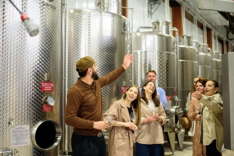 Wine Tasting & Tour of Altterra Wines Factory - What is the Experience Like at Altterra Wines?