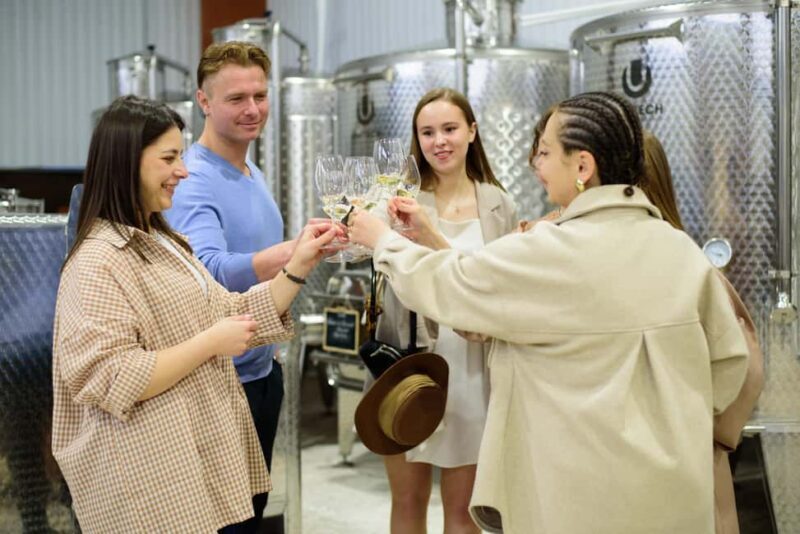 Wine Tasting & Tour of Altterra Wines Factory - The Sum Up