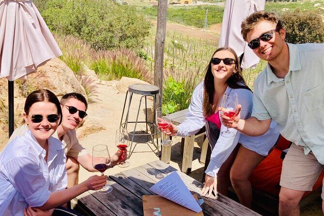 Wine Tasting Tour ONLY for Cruise Ship Visitors. ALL INCLUSIVE! - Who Would Love This Tour?