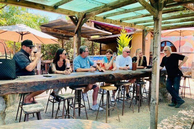 Wine Tasting Tour ONLY for Cruise Ship Visitors. ALL INCLUSIVE! - FAQ