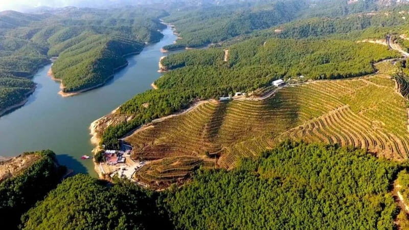 Wine tasting tour, Optional wine yard tour and kayak rides - Final Thoughts