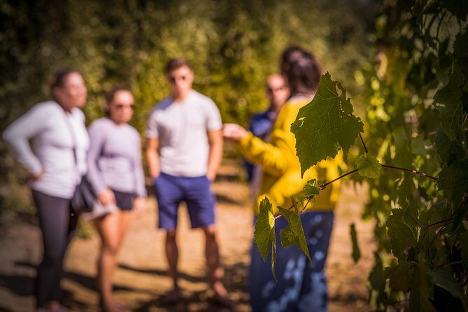 Wine Tasting & Tour Premium - The Experience: Whats It Like?