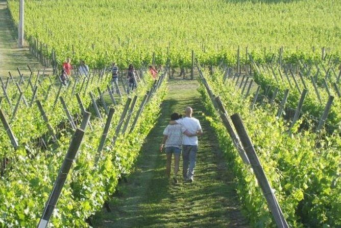 Wine Tasting & Tour Premium - Final Thoughts