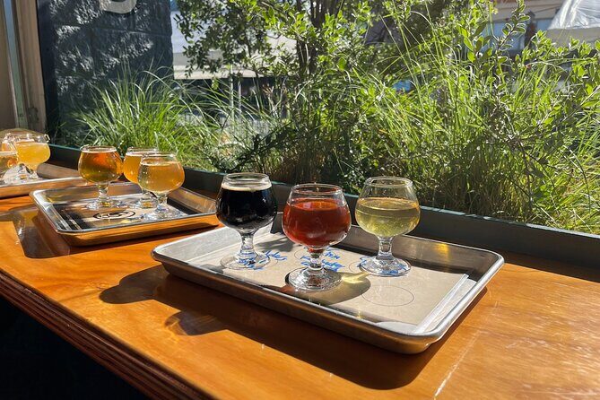 Wine Tasting Tours in a Vintage VW Bus - Who Is This Tour Best For?