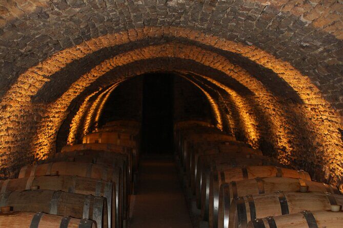 "Wine tasting tours in Burgundy" - FAQ