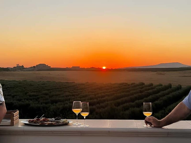 Wine tasting under the Stars in the vineyards of Agrigento - Who Is This Tour Best For?
