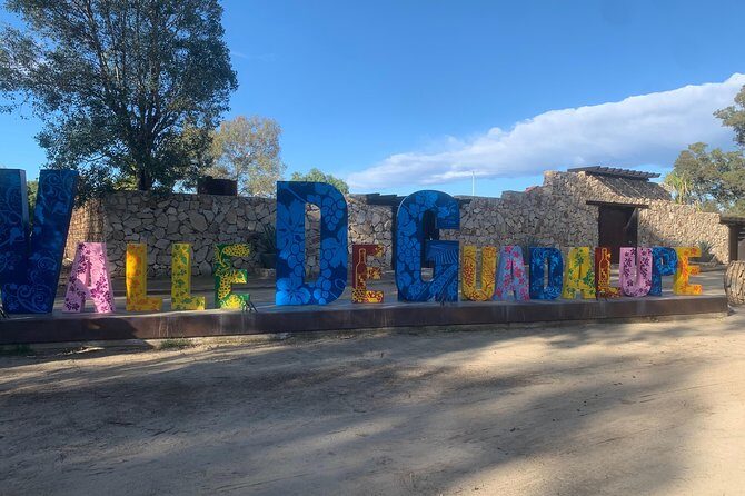 Wine tasting Valle de Guadalupe & Casa Frida - Key Points