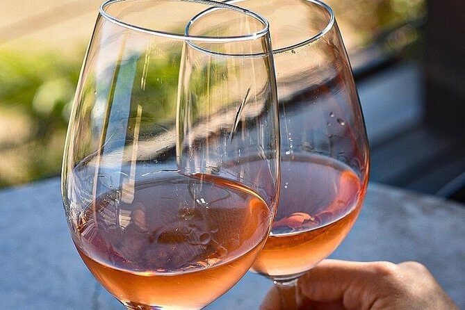 Wine tasting Valle de Guadalupe & Casa Frida - What to Expect from the Tour