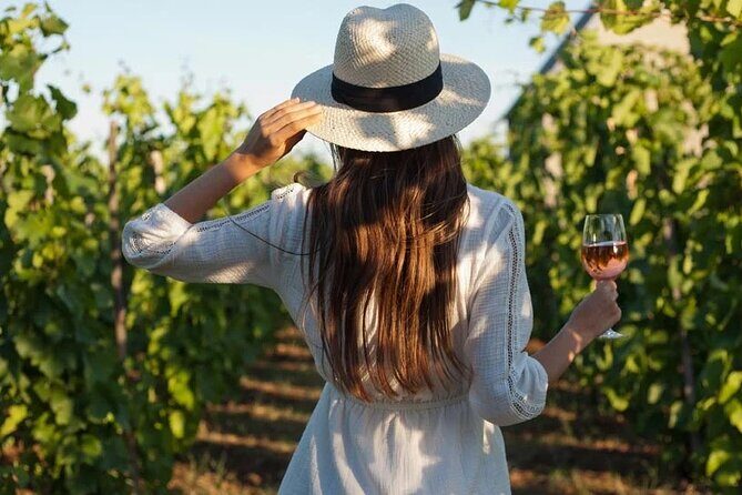 Wine Tasting & Vineyards Escape near Tirana - Exploring Albania’s Hidden Wine Treasures: A Guide to the Wine Tasting & Vineyards Escape near Tirana