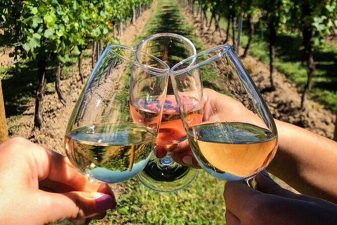 Wine Tasting & Vineyards Escape near Tirana - Who Will Appreciate This Tour?