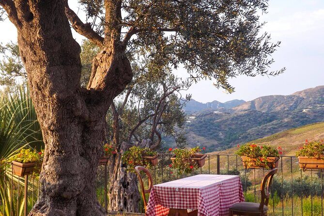 Wine Tasting & Vineyards Escape near Tirana - FAQs about the Wine Tasting & Vineyards Escape near Tirana