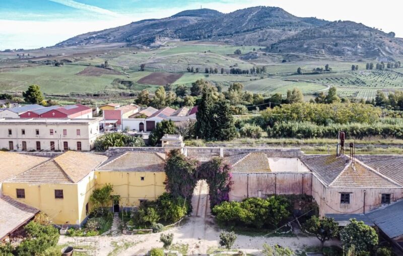 Wine Tasting whit Painting Lesson in Baglio Florio - FAQs