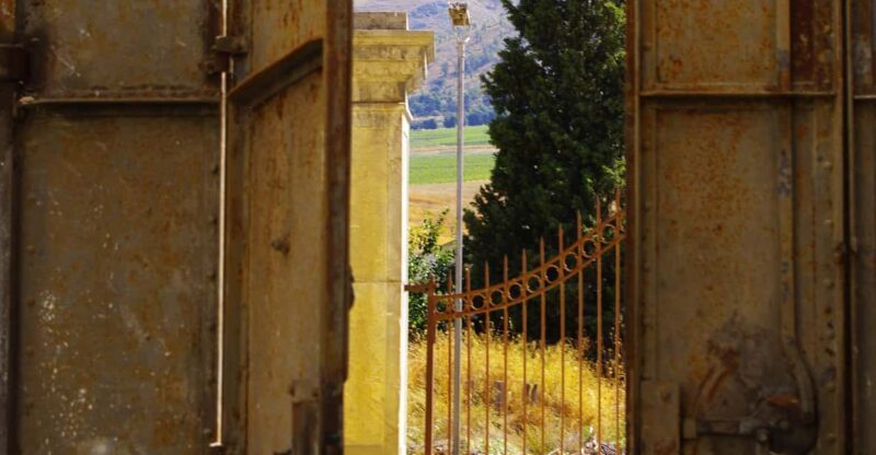 Wine Tasting whit Painting Lesson in Baglio Florio - Final Thoughts