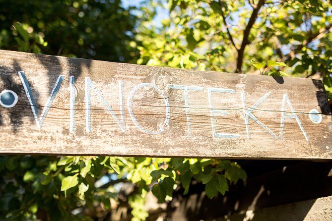 Wine Tasting & Winery Tours - Key Points