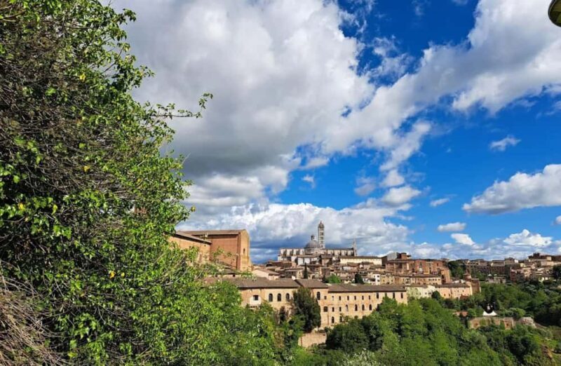 Wine Tasting with Cured Meats & Cheeses in Siena City Center - What to Expect from the Experience