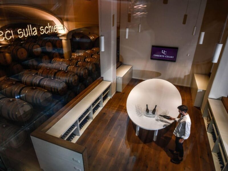 Wine Tasting with Food Pairing near Bologna - What to Expect from This Wine Tasting Experience