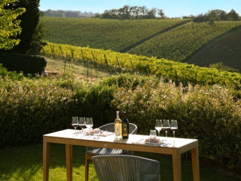 Wine Tasting with Food Pairing near Bologna - Who Is This Tour Best For?