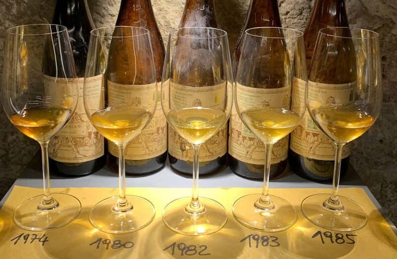 Wine Tasting with Local Bites in Pisa near the Tower - Key Points