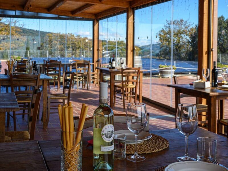 Wine Tasting with Local Food Pairing near Livorno - Key Points