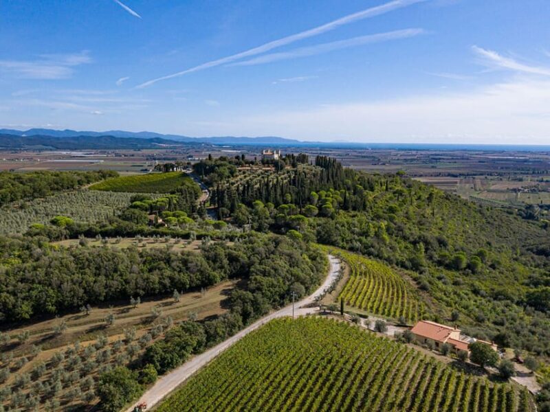 Wine Tasting with Local Food Pairing near Livorno - A Closer Look at the Experience