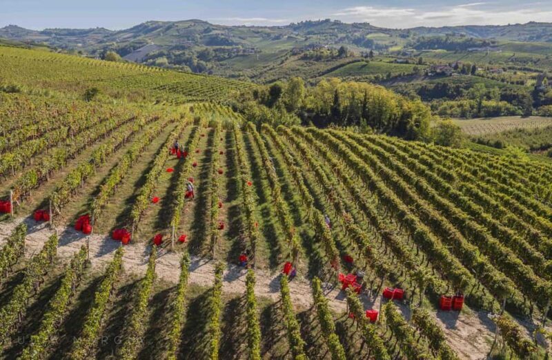 Wine Tasting with Snacks in Neive, the heart of Langhe - The practical side