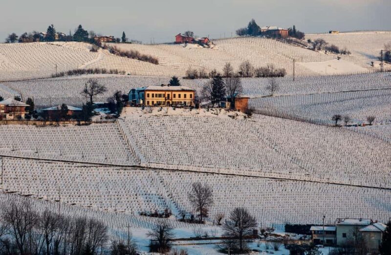 Wine Tasting with Snacks in Neive, the heart of Langhe - Who should consider this tour?