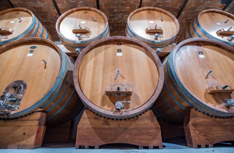 Wine Tasting with Snacks in Neive, the heart of Langhe - Final thoughts