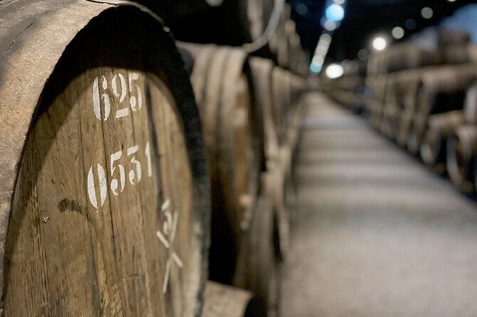 Wine Tasting with Tapas Walking Tour in Porto - What to Expect from the Tour