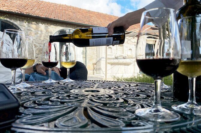 Wine Tasting with Tapas Walking Tour in Porto - Who Should Consider This Tour?