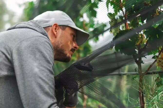 Wine Tasting with the winemaker in Villa Santa Eurosia - An Authentic Peek into Venetian Vineyard Life