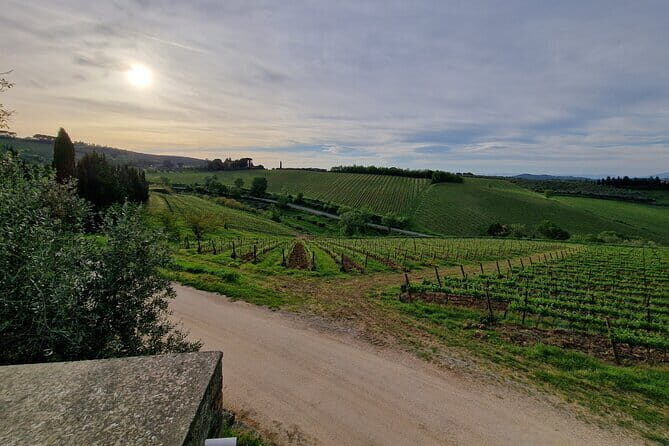 Wine Tour 6 hours 2 top wineries of Chianti Classico Limo Service - An In-Depth Look at the Itinerary