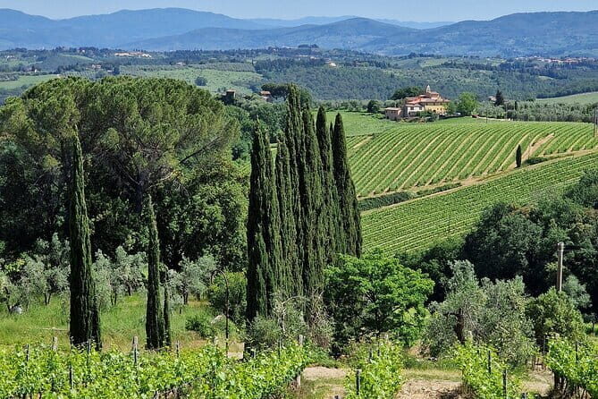Wine Tour 6 hours 2 top wineries of Chianti Classico Limo Service - Final Thoughts