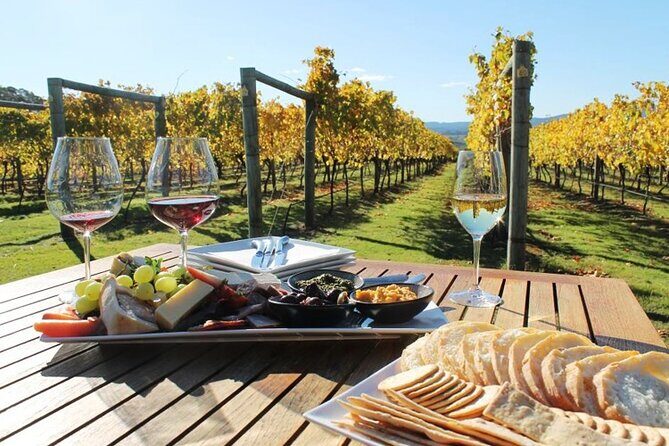 Wine tour and private cooking class 6 hours - Key Points