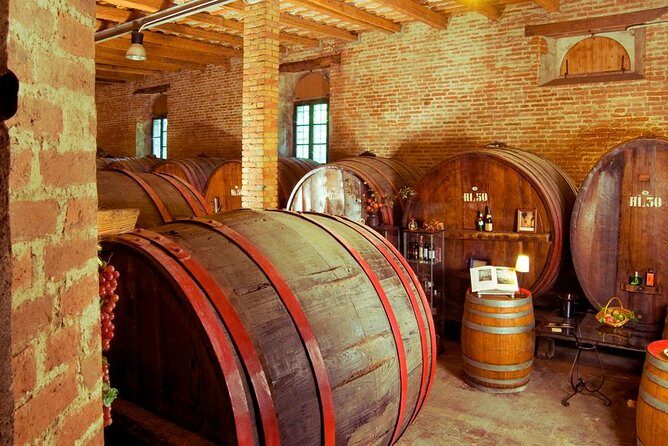 Wine Tour and Tasting at Le Marche's Oldest Wine Estate - What to Expect from the Experience