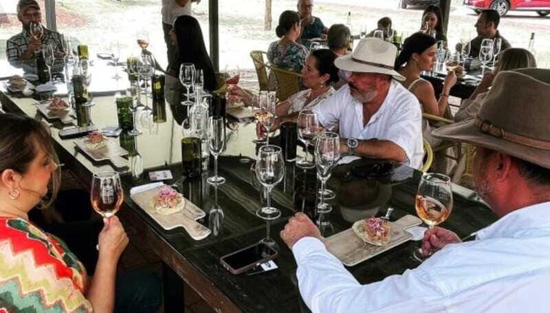 Wine tour and tasting at Vinícola Tierra de Luz - Does the Price Match the Experience?