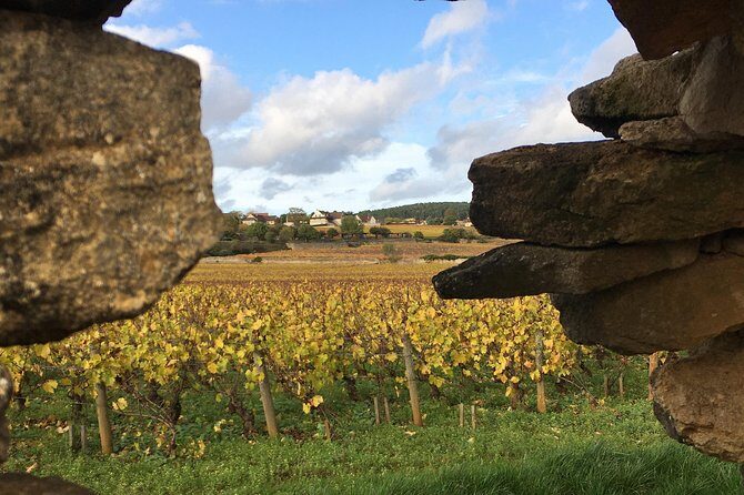 Wine tour and tasting in Burgundy - A Deep Dive into the Burgundy Wine Tour