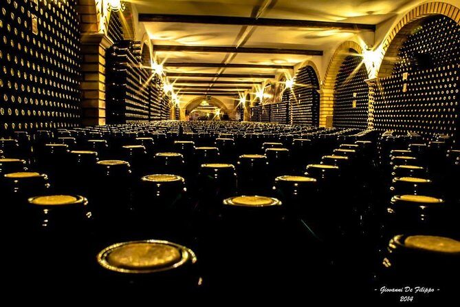 Wine tour and Tasting in Nocciano - Key Points