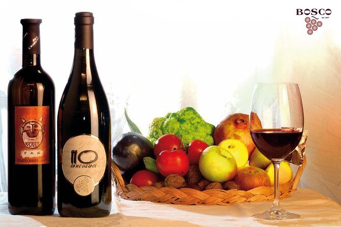 Wine tour and Tasting in Nocciano - An In-Depth Look at the Nocciano Wine Experience