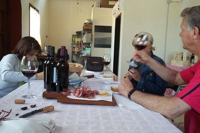 Wine tour aroud vineyards of Cagliari - A Closer Look at What This Tour Offers