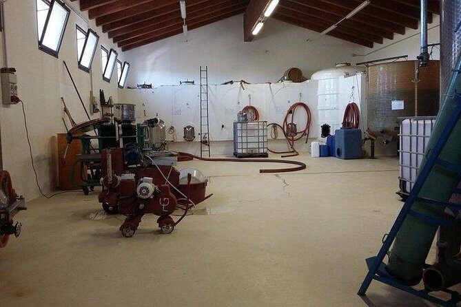 Wine tour aroud vineyards of Cagliari - Final Thoughts