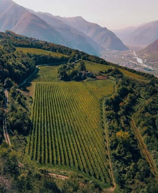 Wine tour at Borgo dei Posseri: wine, nature, and authenticity - The Practicalities and Value