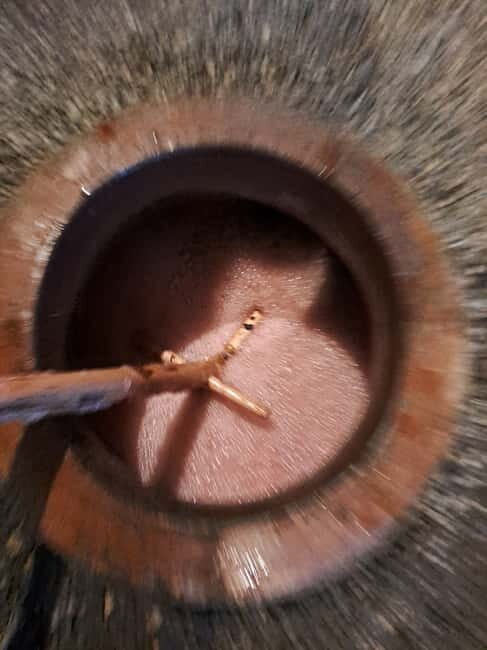 Wine Tour by Winemaker - Key Points