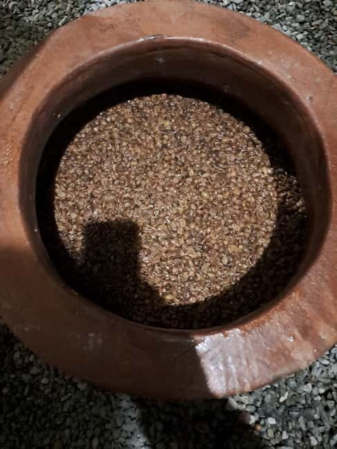 Wine Tour by Winemaker - FAQ