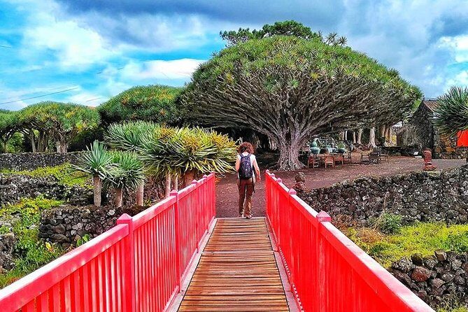 Wine Tour - What’s Included and What to Keep in Mind