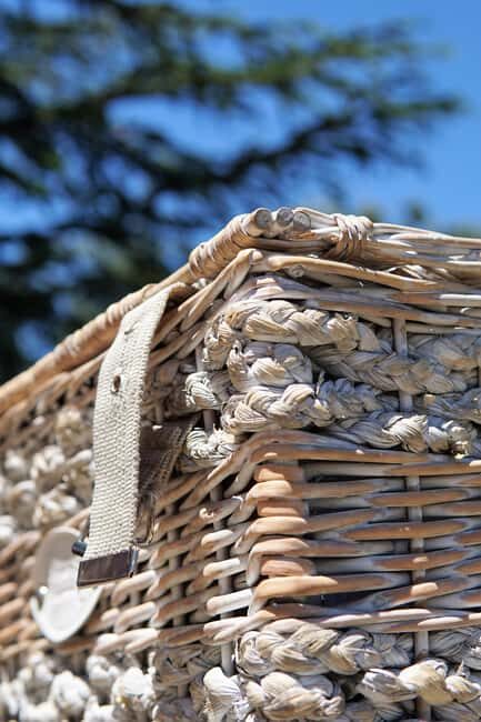 Wine-Tour day: in the Gorges du Verdon - Who Will Appreciate This Tour?