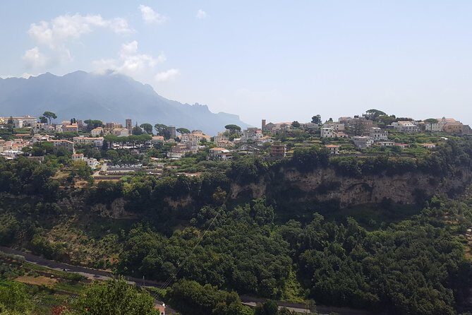 Wine Tour Experience for Family or friend's group - What We Loved About This Tour