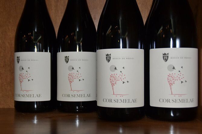 Wine Tour Experience for Family or friend's group - Final Thoughts